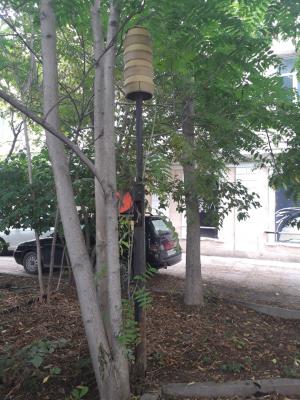 Прикрепленное изображение: ч.jpg